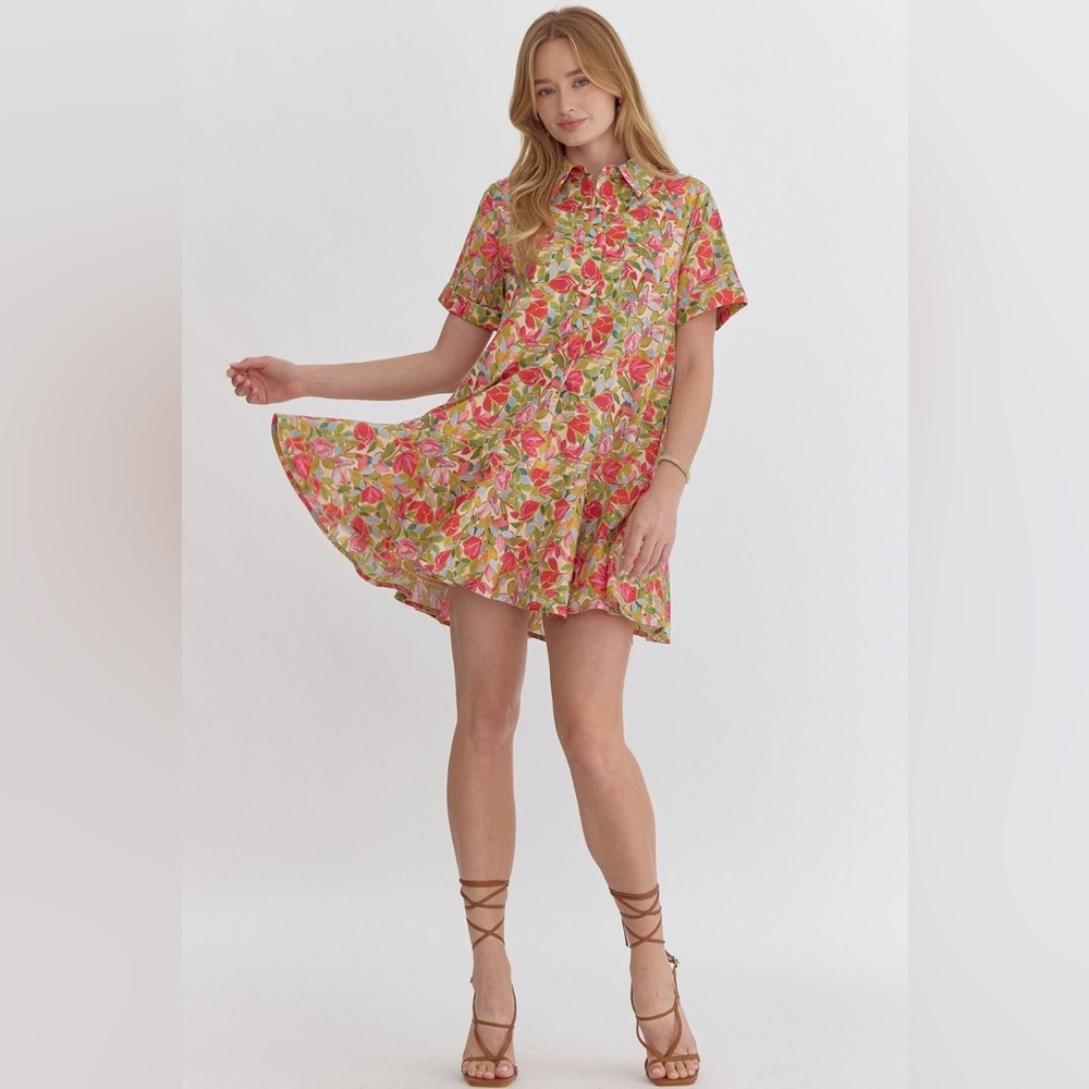 Entro Multicolor Floral Dress